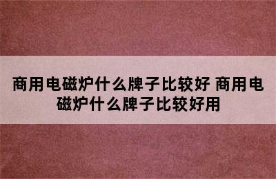 商用电磁炉什么牌子比较好 商用电磁炉什么牌子比较好用